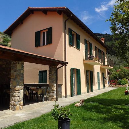 Agriturismo Turlin Vallebona エクステリア 写真