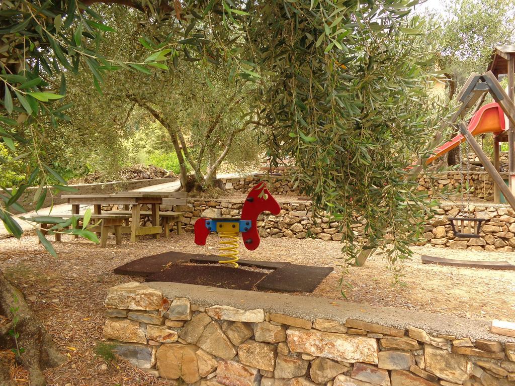 Agriturismo Turlin Vallebona エクステリア 写真