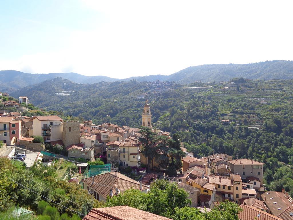 Agriturismo Turlin Vallebona エクステリア 写真