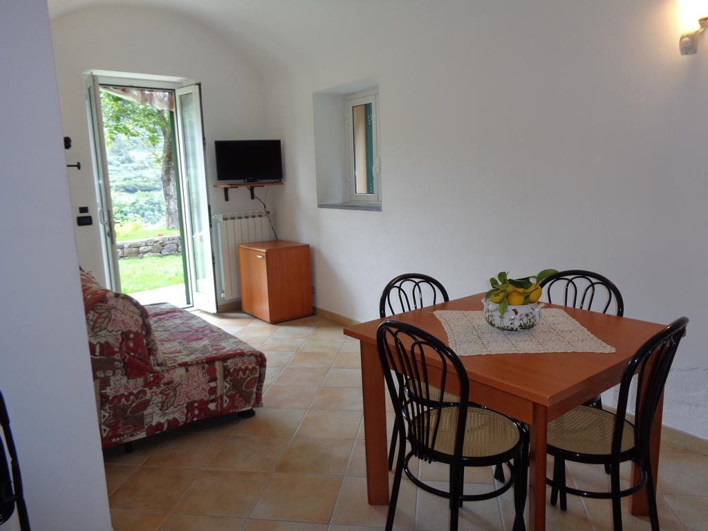 Agriturismo Turlin Vallebona エクステリア 写真