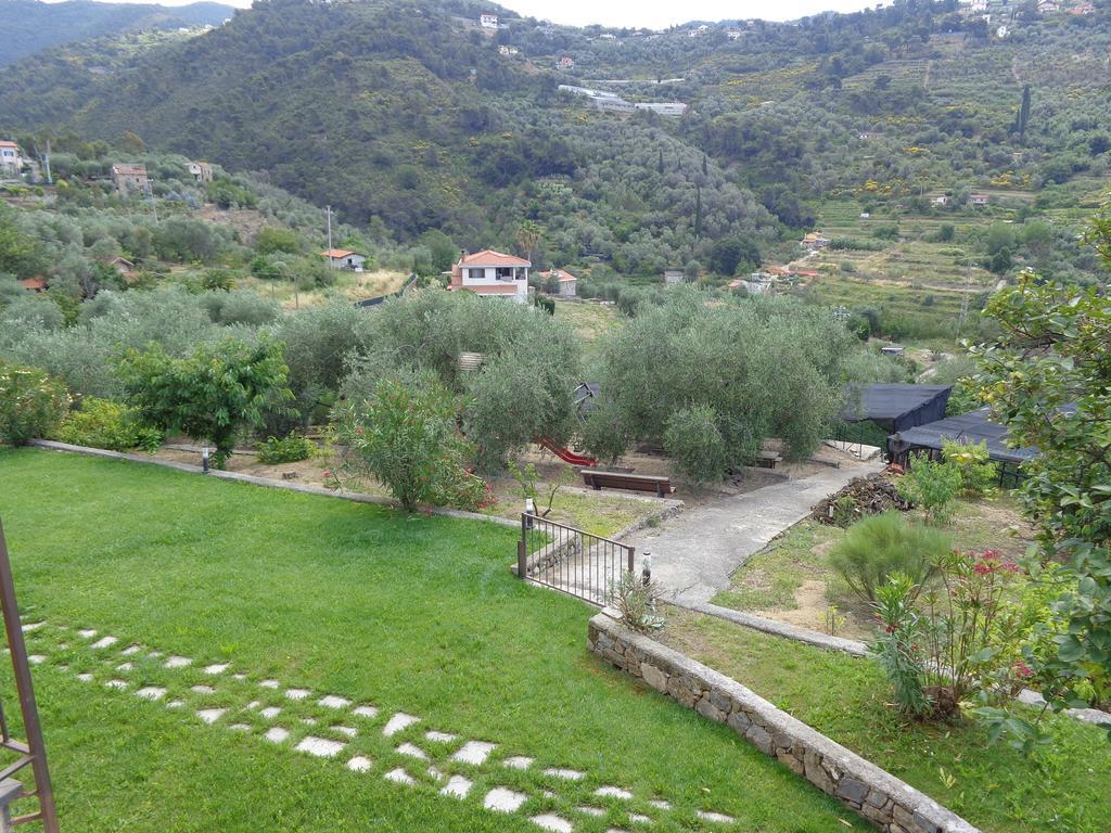 Agriturismo Turlin Vallebona エクステリア 写真