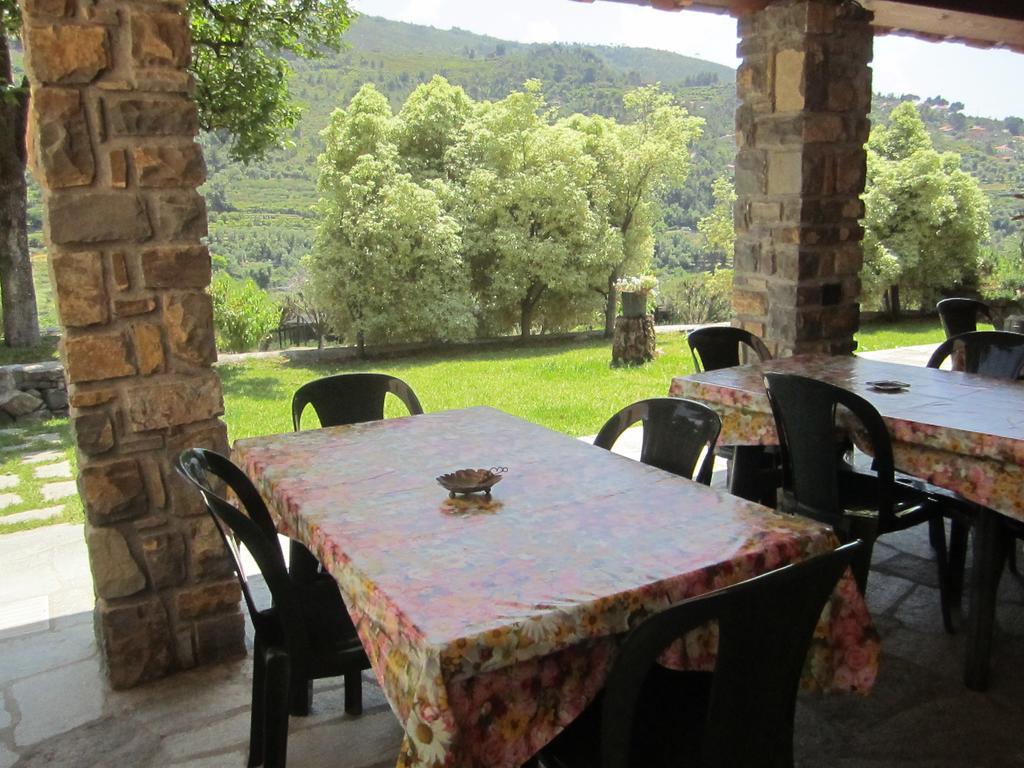 Agriturismo Turlin Vallebona エクステリア 写真
