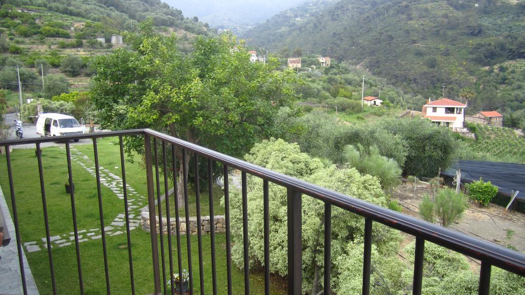 Agriturismo Turlin Vallebona エクステリア 写真