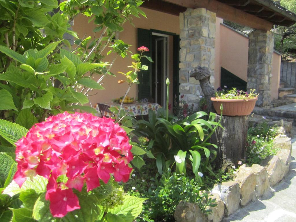 Agriturismo Turlin Vallebona エクステリア 写真